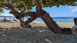 Grand Anse Beach St. George's 24.11.27 Zu Fuß mit Taxi Fähre Boot Bus zu karibischen Stränden AIDAperla 004