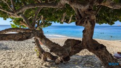 Grand Anse Beach St. George's 24.11.27 Zu Fuß mit Taxi Fähre Boot Bus zu karibischen Stränden AIDAperla 011
