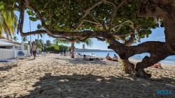 Grand Anse Beach St. George's 24.11.27 Zu Fuß mit Taxi Fähre Boot Bus zu karibischen Stränden AIDAperla 012