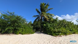 Deep Bay Beach St. John's 25.12.16 Baden und Schnorcheln im kristallklaren Meer AIDAperla 011