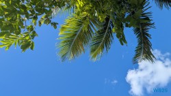 Deep Bay Beach St. John's 25.12.16 Baden und Schnorcheln im kristallklaren Meer AIDAperla 013