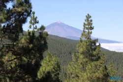 Parque National del Teide Santa Cruz de Tenerife Teneriffa 15.08.29 - Norwegen Fjorde England Frankreich Spanien Portugal Marokko Kanaren AIDAsol Nordeuropa Westeuropa