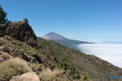 Parque National del Teide Santa Cruz de Tenerife Teneriffa 15.08.29 - Norwegen Fjorde England Frankreich Spanien Portugal Marokko Kanaren AIDAsol Nordeuropa Westeuropa