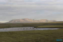 Thingvellir Reykjavik 12.08.27 - Norwegen Island Schottland AIDAmar Nordeuropa