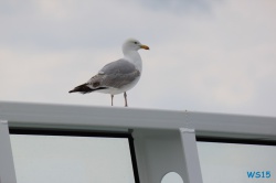 Dover 15.05.16 - Metropolen England Niederlande AIDAsol Kurzreise