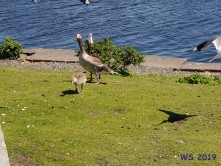 Oslo 19.05.31 - Beste Liegeplätze Ostsee-Kurztour AIDAbella