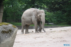 Tierpark Hagenbeck Hamburg 16.06.19