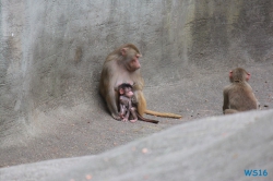 Tierpark Hagenbeck Hamburg 16.06.19