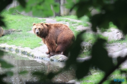 Tierpark Hagenbeck Hamburg 16.06.19