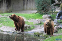 Tierpark Hagenbeck Hamburg 16.06.19