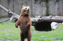 Tierpark Hagenbeck Hamburg 16.06.19