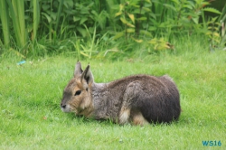 Tierpark Hagenbeck Hamburg 16.06.19