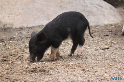 Tierpark Hagenbeck Hamburg 16.06.19