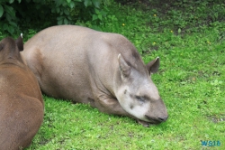 Tierpark Hagenbeck Hamburg 16.06.19