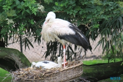 Tierpark Hagenbeck Hamburg 16.06.19