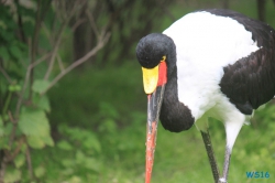 Tierpark Hagenbeck Hamburg 16.06.19