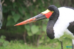 Tierpark Hagenbeck Hamburg 16.06.19