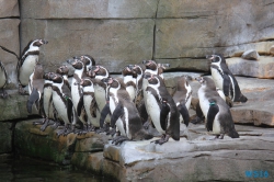 Tierpark Hagenbeck Hamburg 16.06.19