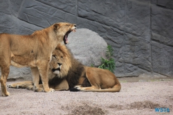 Tierpark Hagenbeck Hamburg 16.06.19
