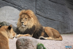 Tierpark Hagenbeck Hamburg 16.06.19
