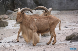 Tierpark Hagenbeck Hamburg 16.06.19