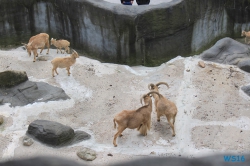 Tierpark Hagenbeck Hamburg 16.06.19