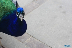 Tierpark Hagenbeck Hamburg 16.06.19