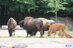 Tierpark Hagenbeck Hamburg 16.06.19