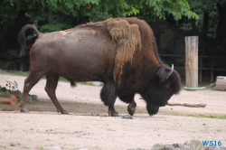 Tierpark Hagenbeck Hamburg 16.06.19