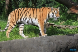 Tierpark Hagenbeck Hamburg 16.06.19