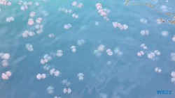 Triest 22.04.12 - Tolle neue Ziele im Mittelmeer während Corona AIDAblu