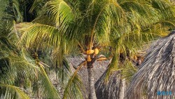 Cas Abao Beach Willemstad 25.12.07 Baden und Schnorcheln im kristallklaren Meer AIDAperla 014