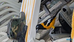 Cas Abao Beach Willemstad 25.12.07 Baden und Schnorcheln im kristallklaren Meer AIDAperla 015