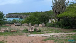 Grote Knip Willemstad 25.12.08 Baden und Schnorcheln im kristallklaren Meer AIDAperla 002