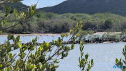 Seru Largu Nationalpark Willemstad 25.12.08 Baden und Schnorcheln im kristallklaren Meer AIDAperla 022