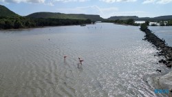 Seru Largu Nationalpark Willemstad 25.12.08 Baden und Schnorcheln im kristallklaren Meer AIDAperla 023