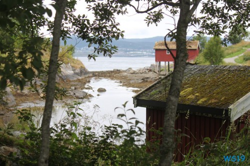 Saltstraumen Bodø 19.08.05 – Fjorde Berge Wasserfälle – Fantastische Natur in Norwegen AIDAbella 013 Saltstraumen Bodø 19.08.05 - Fjorde Berge Wasserfälle - Fantastische Natur in Norwegen AIDAbella