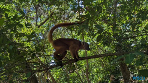 Ampangorinana Nosy Komba Andoany Nosy Be 23.11.24 Katamarane und Traumstrände auf Mauritius Seychellen Madagaskar AIDAblu 023 Ampangorinana Nosy Komba Andoany Nosy Be 23.11.24 Katamarane und Traumstrände auf Mauritius Seychellen Madagaskar AIDAblu 023