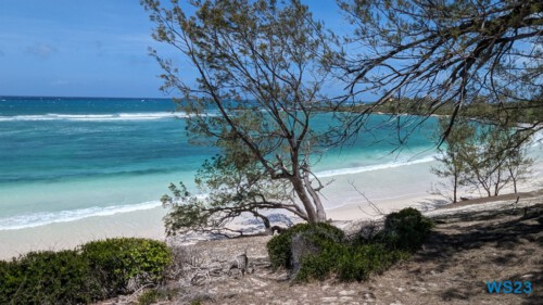 Les Trois Baies Antsiranana 23.11.23 Katamarane und Traumstrände auf Mauritius Seychellen Madagaskar AIDAblu 035 Les Trois Baies Antsiranana 23.11.23 Katamarane und Traumstrände auf Mauritius Seychellen Madagaskar AIDAblu 035