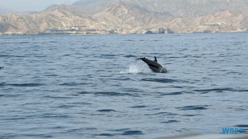 Muscat 23.04.18 Von Arabien durch den Suezkanal zu Mittelmeerinseln AIDAcosma 018 Muscat 23.04.18 Von Arabien durch den Suezkanal zu Mittelmeerinseln AIDAcosma 018