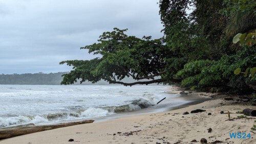 Cahuita Nationalpark Puerto Limón 24.02.20 Traumhafte Strände und Wale in Mittelamerika und Karibik AIDAluna 028 Cahuita Nationalpark Puerto Limón 24.02.20 Traumhafte Strände und Wale in Mittelamerika und Karibik AIDAluna 028