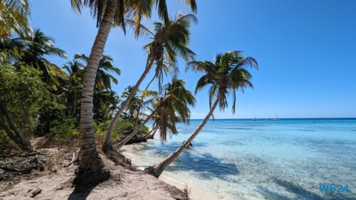 Isla Saona La Romana 24.02.24 Traumhafte Strände und Wale in Mittelamerika und Karibik AIDAluna 070