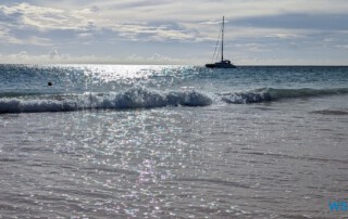 Carlisle Bay Bridgetown 24.11.28 Zu Fuß mit Taxi Fähre Boot Bus zu karibischen Stränden AIDAperla 011