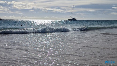 Carlisle Bay Bridgetown 24.11.28 Zu Fuß mit Taxi Fähre Boot Bus zu karibischen Stränden AIDAperla 011
