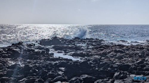 Castillo Caleta de Fuste Puerto Del Rosario 25.02.06 Nach 10 Jahren wieder Kanaren um dem Winter zu entfliehen AIDAcosma 011