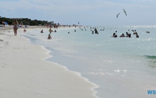 Eagle Beach Oranjestad 24.11.23 Zu Fuß mit Taxi Fähre Boot Bus zu karibischen Stränden AIDAperla 006