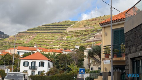 Estreito de Câmara de Lobos Funchal 25.02.03 Nach 10 Jahren wieder Kanaren um dem Winter zu entfliehen AIDAcosma 023