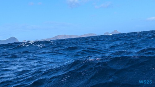 Funchal 25.02.10 Nach 10 Jahren wieder Kanaren um dem Winter zu entfliehen AIDAcosma 008 Funchal 25.02.10 Nach 10 Jahren wieder Kanaren um dem Winter zu entfliehen AIDAcosma 008