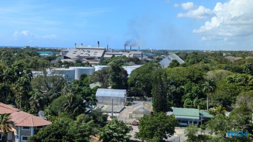 La Romana 24.12.05 Zu Fuß mit Taxi Fähre Boot Bus zu karibischen Stränden AIDAperla 004 La Romana 24.12.05 Zu Fuß mit Taxi Fähre Boot Bus zu karibischen Stränden AIDAperla 004