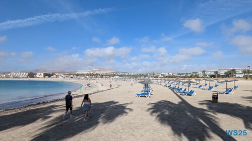 Playa del Castillo Caleta de Fuste Puerto Del Rosario 25.02.06 Nach 10 Jahren wieder Kanaren um dem Winter zu entfliehen AIDAcosma 013